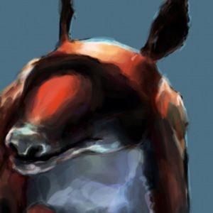 Meet your Posher, Haley